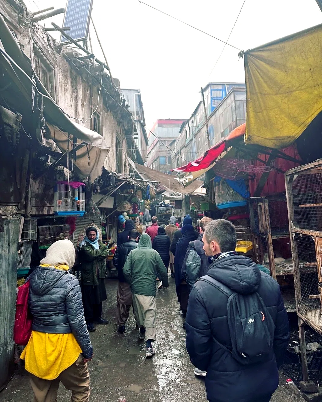 Kahfroshi Bird Market — view 2