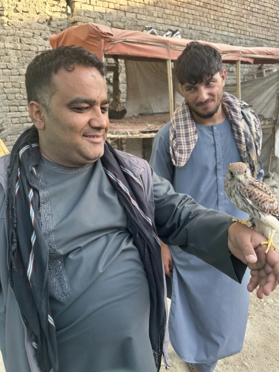 Kahfroshi Bird Market — view 3