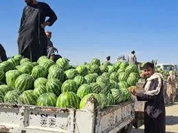 Farah Watermelon — image 2