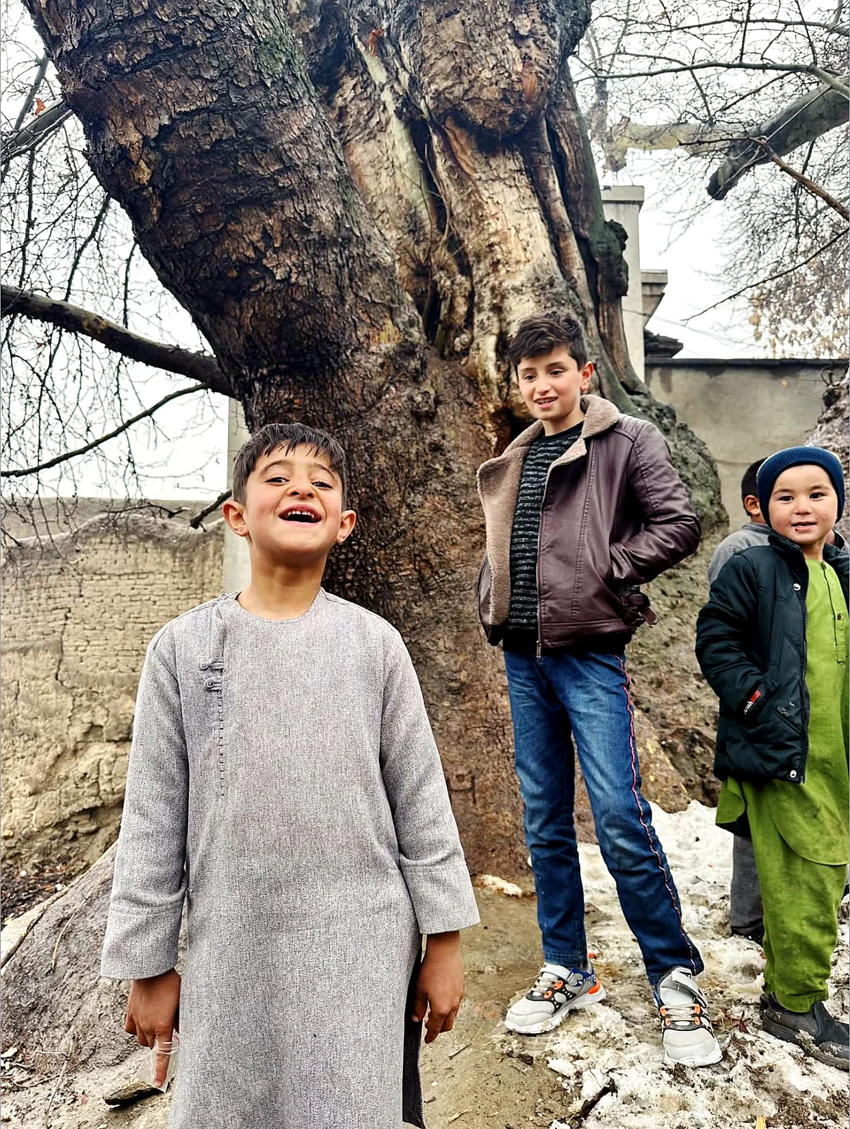Shadows of the Wind: The Enduring World of the Kuchi Nomads